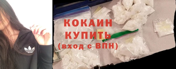 твердый Арсеньев