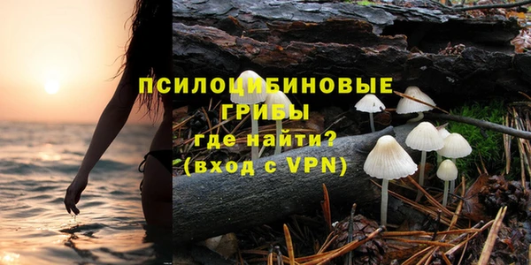 твердый Арсеньев