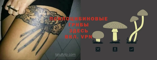 крисы Алексеевка